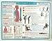 Health & Personal Care : Helion Communications - Back Care Exercises - Reference Charts