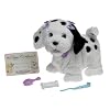 Fisher-Price Puppy Grows and Knows Your Name Black and White