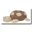 Big Sock Turtle