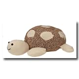 Big Sock Turtle