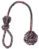 Trixie Spieltau mit eingeflochtenem Ball 30 cm / ø 5,5 cm