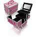 Pink Aluminum Cosmetic Train Case Style No. TS-79
