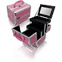 Pink Aluminum Cosmetic Train Case Style No. TS-79