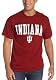 The Best Indiana Hoosiers 100% Cotton Short Sleeve T-Shirt Limited Quantity