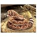 Folkmanis Rattlesnake Puppet