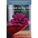 The Not So Big Life: Making Room for What Really Matters