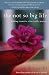 The Not So Big Life: Making Room for What Really Matters