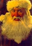 The Santa Clause : a novel by Daphne Skinner : based on the motion picture from Hollywood Pictures : based on the screenplay by Leo Benvenuti & Steve Rudnick