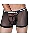 Men's Underwears Sexy See-through Boxers Briefs 3 Size