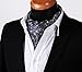 SetSense Men's Floral Jacquard Woven Self Cravat Tie Ascot