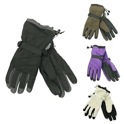 Women's Waterproof / Thinsulate Lined Ski Glove