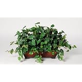 House of Silk Flowers Artificial Philo Ledge Plant 33w x 19h by House of Silk Flowers