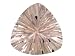 Price Comparison : MIN 7.50CT 15X15MM TRILLION MORGANITE