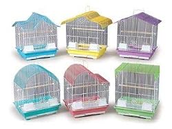 PH CAGE PASTEL KEET ASST 6CS