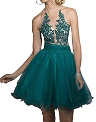 Tulle Lace Beaded Sequined Halter Sleeveless Cocktail Short Homecoming Dress/Prom Dress 