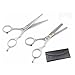 by ksshopping 2 X Professional Hair Cutting & Thinning Scissors Shears Hairdressing Set