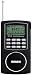 Degen DE1126 Ultra-Thin AM/FM/SW Radio with 4GB MP3 Player, Voice Recorder & E-book Reader