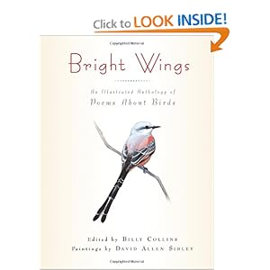 Bright Bright Wings: An Illustrated Anthology of Poems About Birds [Paperback]