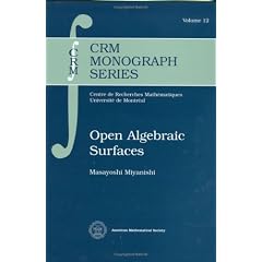 Open Algebraic Surfaces
