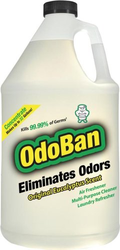 OdoBan Odor Eliminator - Concentrate - Makes up to 32 Gallons!