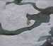 The Last Polar Bear: Facing the Truth of a Warming World