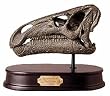 Iguanodon Skull Model