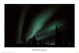 Northern Lights (Aurora Borealis & The Big Dipper, Alaska) Black Wood-Mounted Art Poster Print - 24