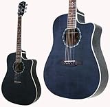 FENDER T-BUCKET 300CE-FT/TBK GARM^[/