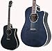 FENDER T-BUCKET 300CE-FT/TBK GARM^[/