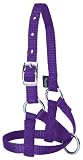 HLTR NYL ALPACA 5/8IN AV PU