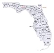 The Book of Jacksonville (Florida) : A History on CD