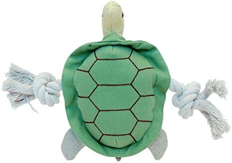 Simply Fido Little Tio Turtle Toy, 9", Green