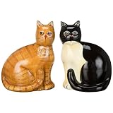 Country Cats Salt and Pepper Shakers
