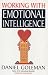 Working with Emotional Intelligence