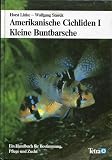 Amerikanische Cichliden I - Kleine Buntbarsche. Ein Handbuch f�r Bestimmung, Pflege und Zucht