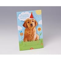 Playful Pup Grandstands Birthday Card
