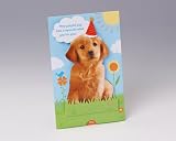 Playful Pup Grandstands Birthday Card