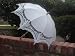 Wedding Parasol