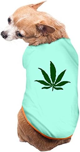 Jade Fashion Botany Pol Leaf Dog T Shirt SkyBlue Size M