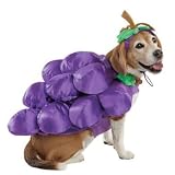 Grapes Pet Costume - L