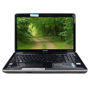41hp5r2c9hL Toshiba Satellite A505S6960 Core 2 Duo T6500 2.1GHz