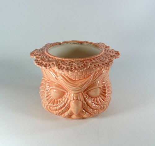 Owl African Violet Pot Lace Insert Orange Slice