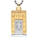 Embossed Zodiac Sign Silver and Gold Tone Rectangular Stainless Steel Pendant Necklace - Aquarius 24