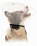 EJay Check Collar 12-16 inch neck