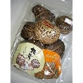 干ししいたけ（どんこ） 75g [その他]
