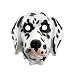 Childerns Dalmation Mask