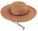 41hq2bkg6BL. SL160  PRINCIPLE PLASTICS 442DB01 DARK BROWN WIDE BRIM HAT