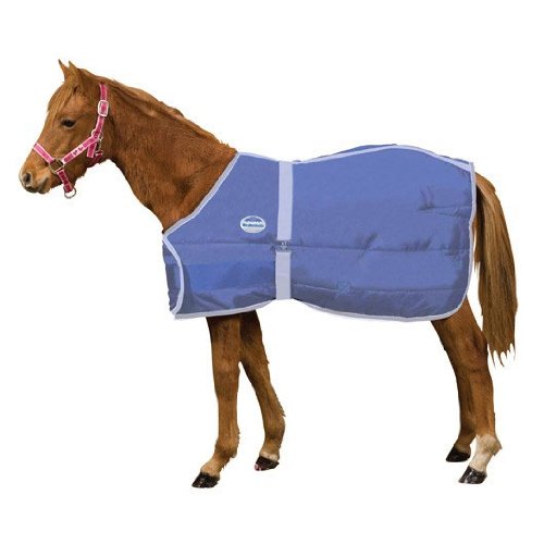 WeatherBeeta Newborn Foal Blanket [Misc.] [Misc.]