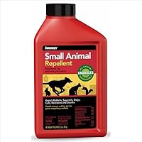 Havahart Get Away 5300 Squirrel and Raccoon Repellent Ready-to-Use 32 Ounces