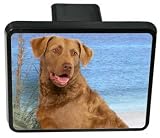 41hqJLiPAxL. SL160  Chesapeake Bay Retriever Trailer Hitch Cover Reviews